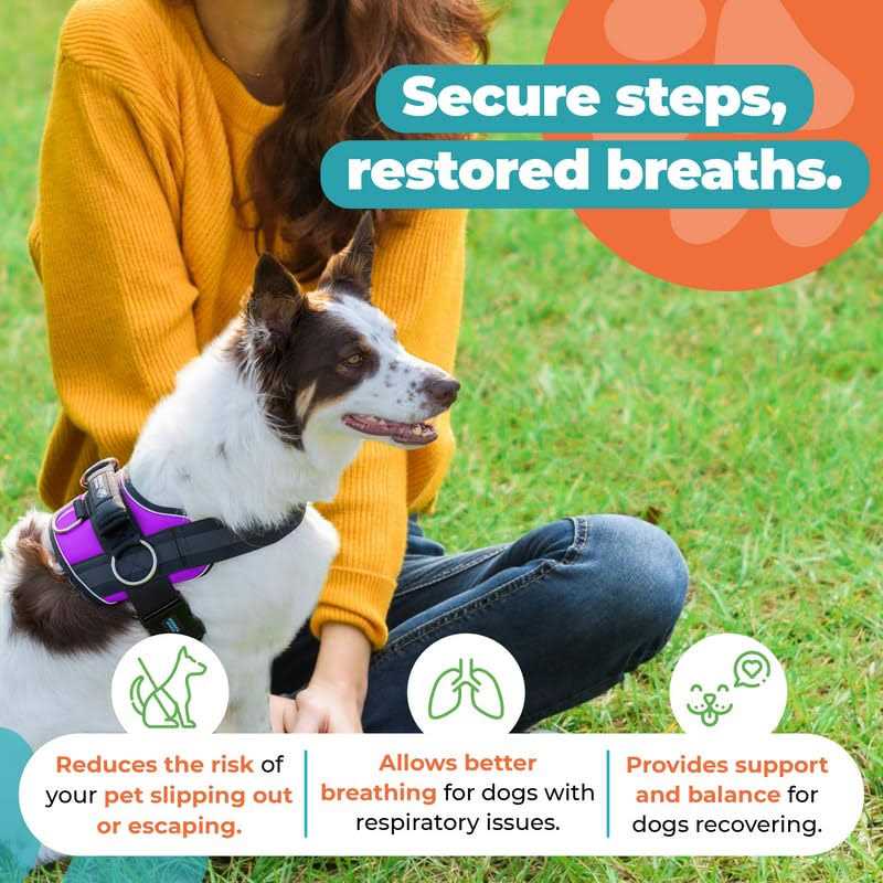 No Pull Easy On-Off Dog Harness W356962