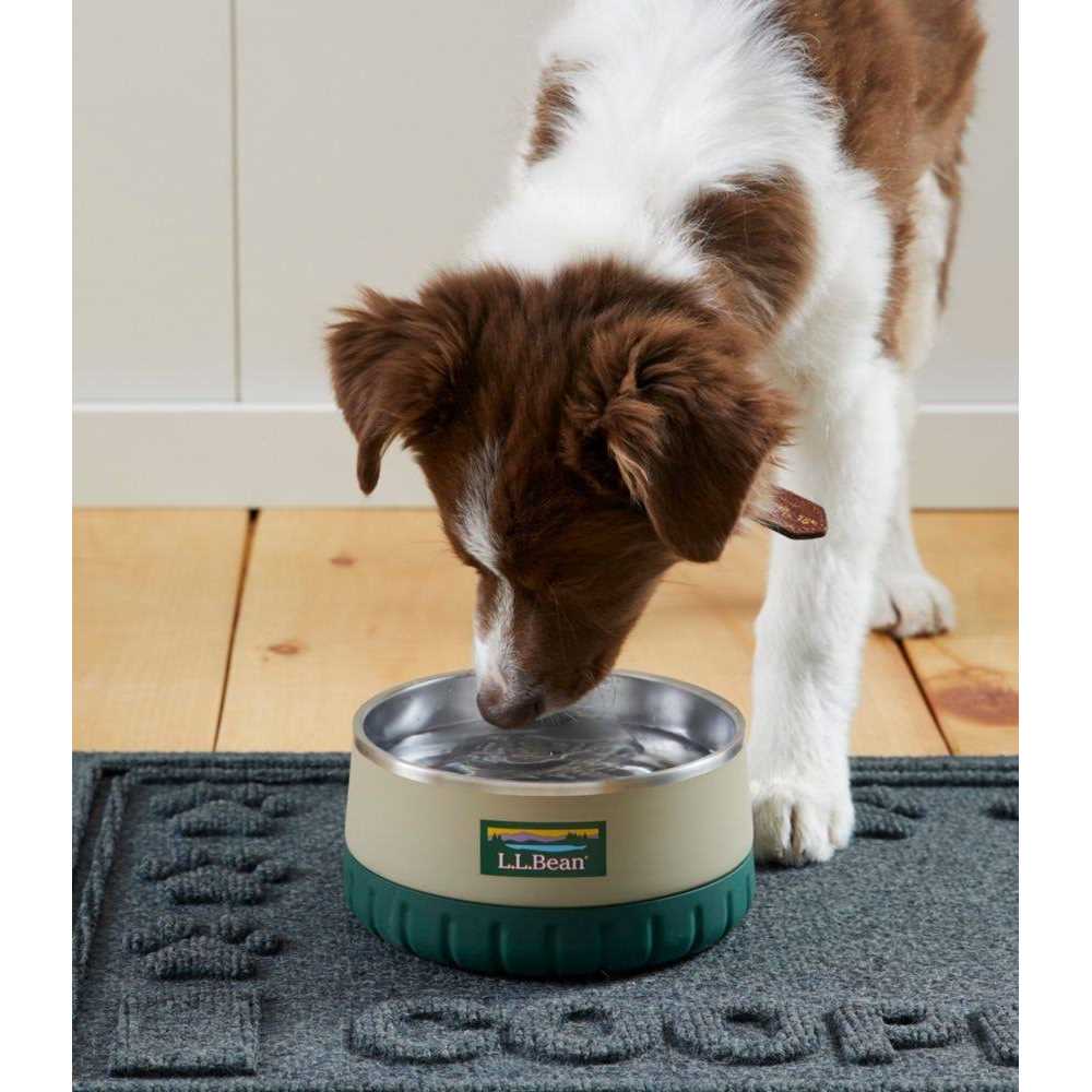 Insulated Dog Bowl Y2677