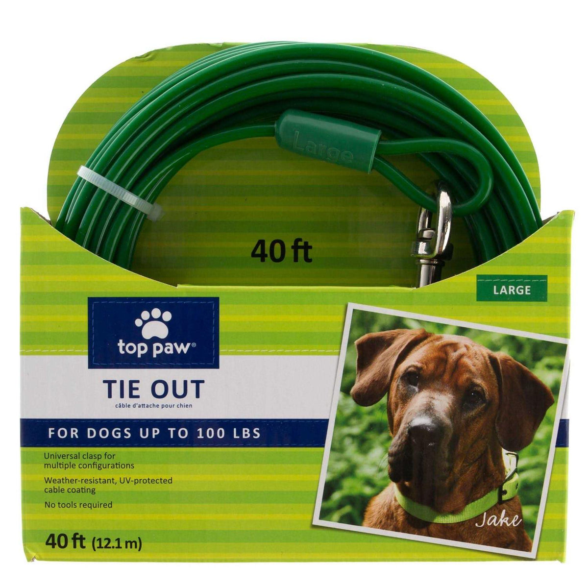 Dog Tie Out Y8847