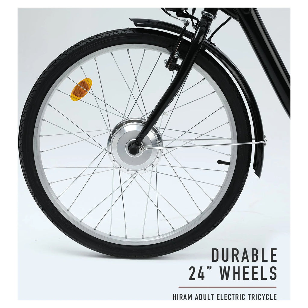 24 Inch 250w 36V Black Electric Trike Bike Y29455