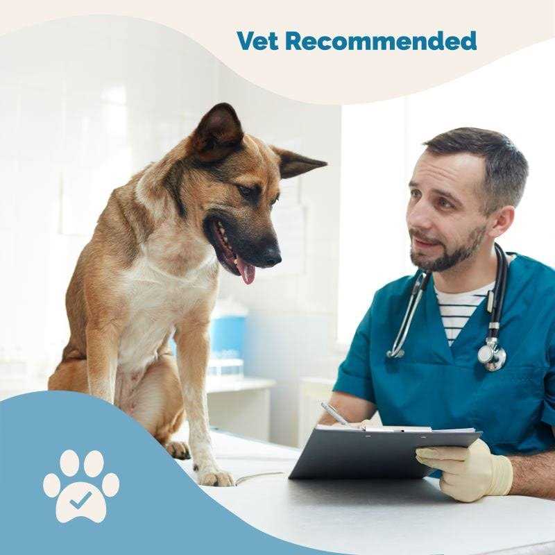 Cold Symptom Support for Cats P376