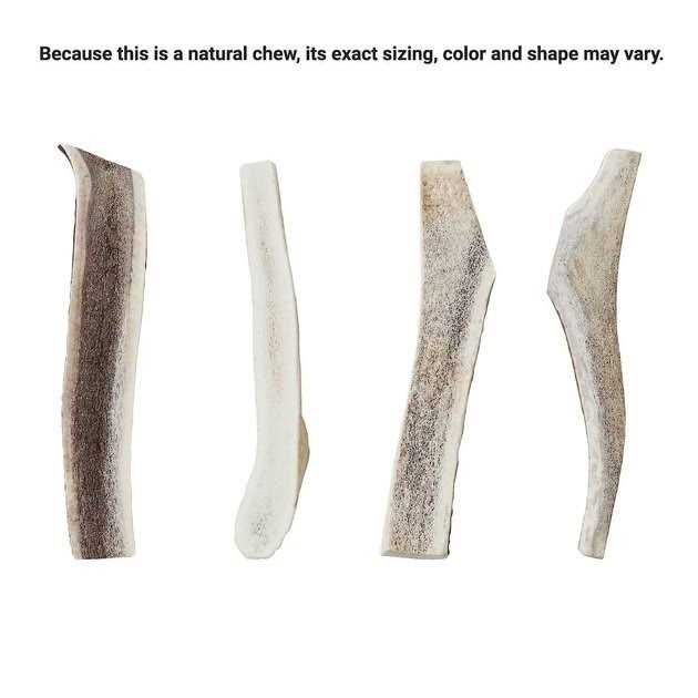 Elk Antler Split Dog Chew K63720