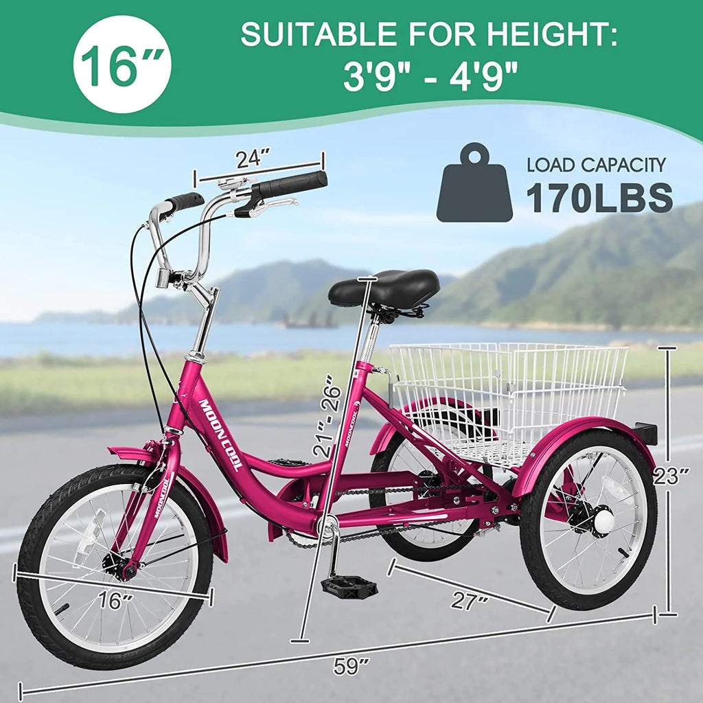 16 inch Single Speed 3 Wheel Tricycle with Rear Basket U735