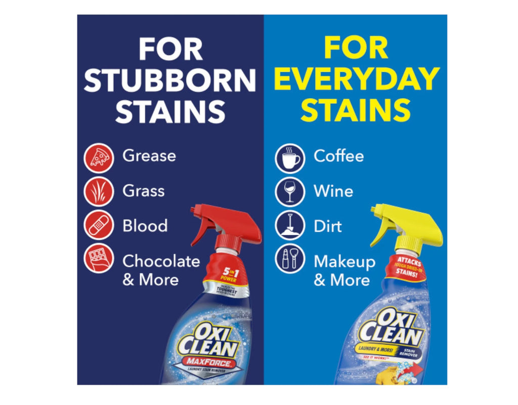 Laundry Stain Remover 12 fl oz (Pack of 4) W93205